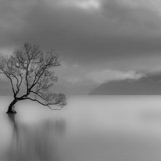 lone-tree-lake