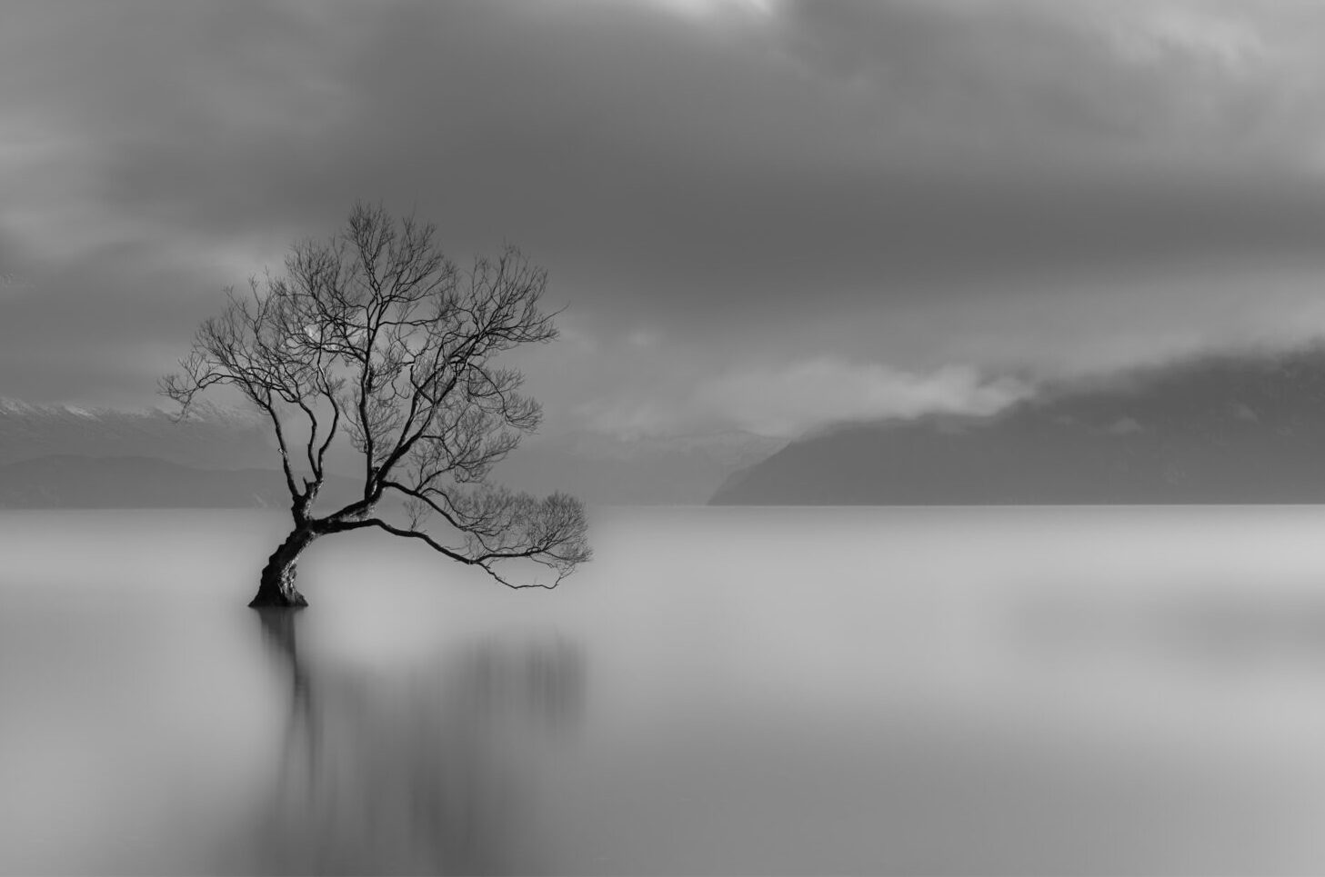 lone-tree-lake