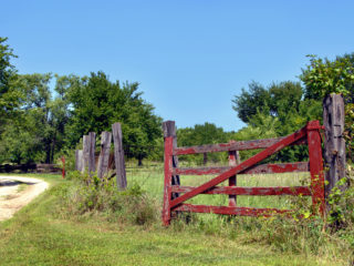 old-fence-gate