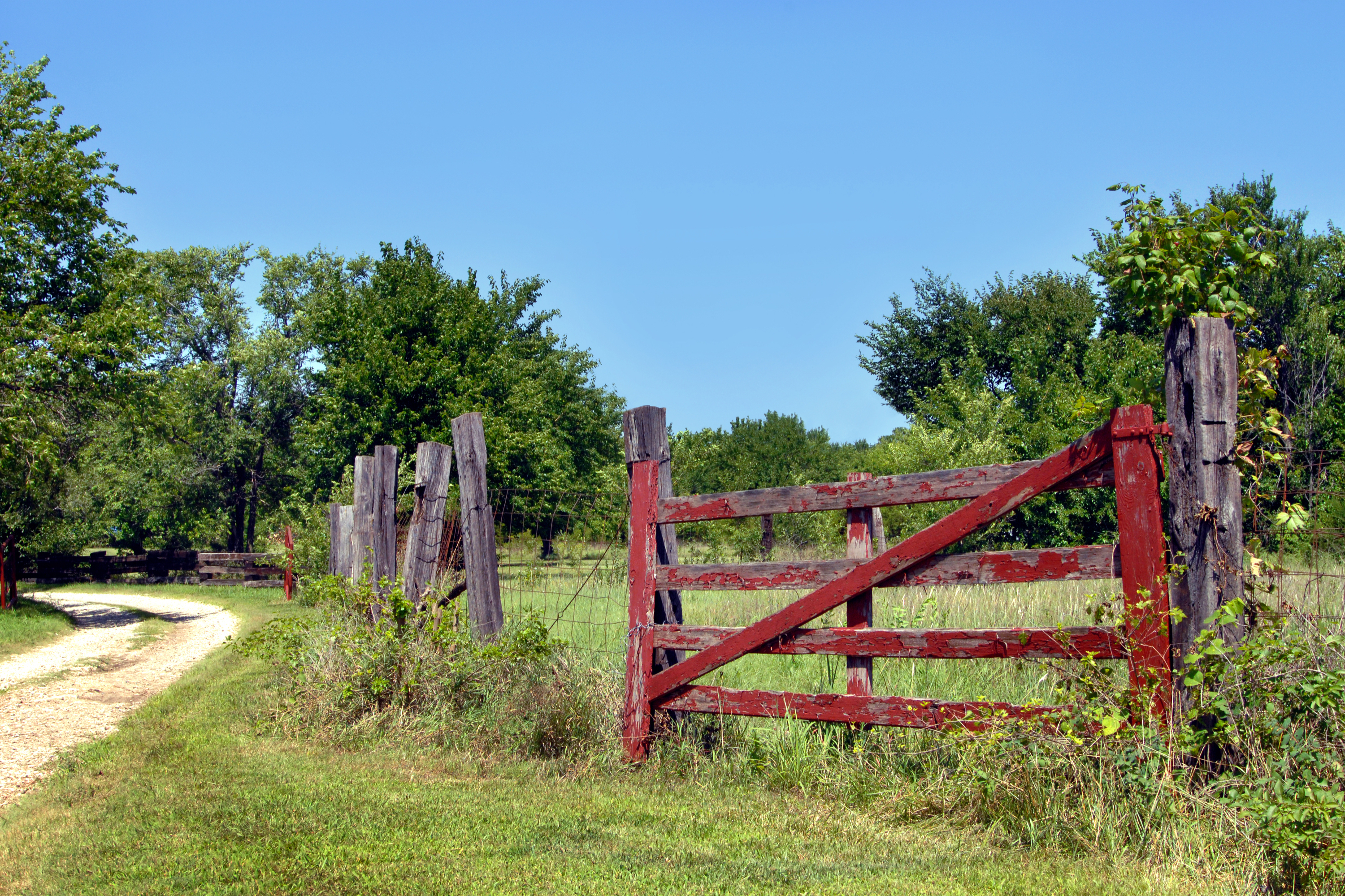 old-fence-gate