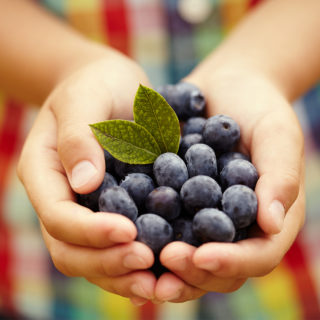 blueberries-childs-hands