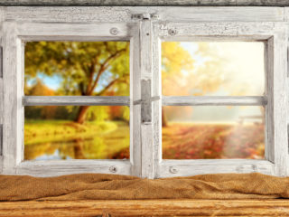 window-cottage