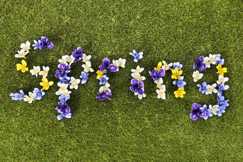 flowers-spell-spring