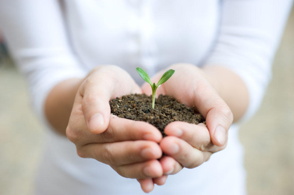 mom-plant-in-hand