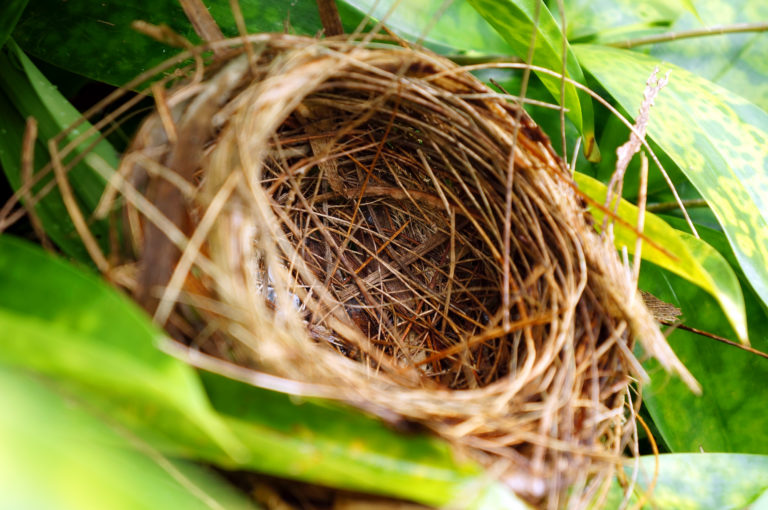 How To Prepare For A Great Empty Nest Marriage