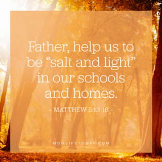 Father, help us to be "salt and light" in our schools and homes.

