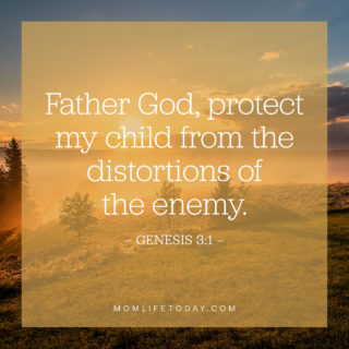 Father God, protect my child from the distortions of the enemy.
