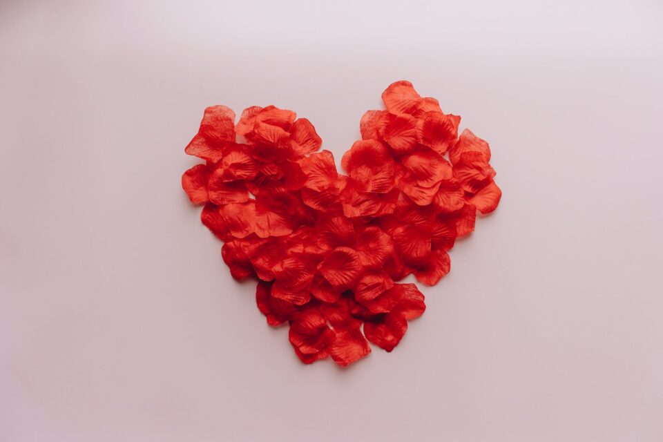Red flower petals creating a heart