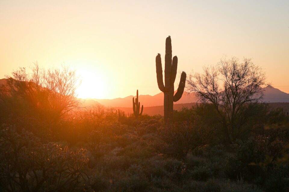 Arizona desert at sunset
