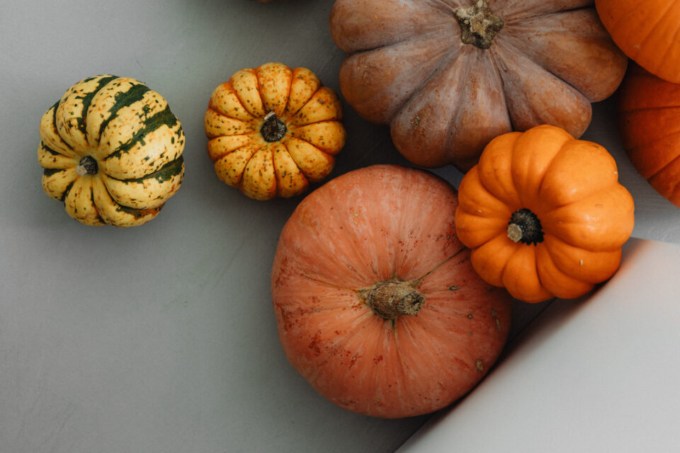 Assorted pumpkins laying in a pile