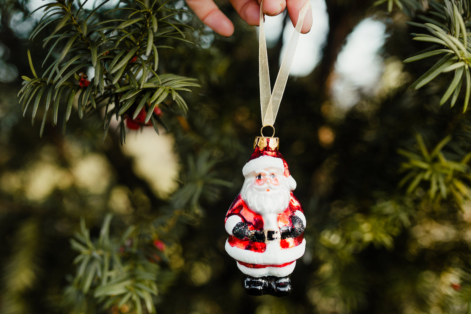 Santa Claus Christmas ornament in front of a tree