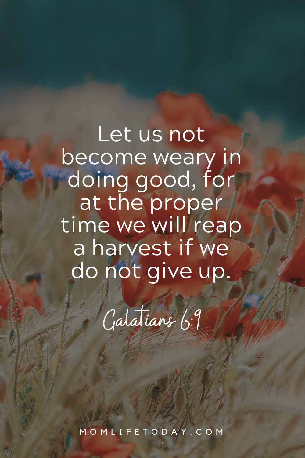 Galatians 6:9 - Scriptures on Parenting