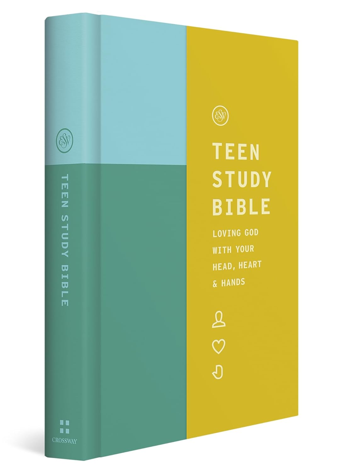 Best bible for kids: Teen Study Bible